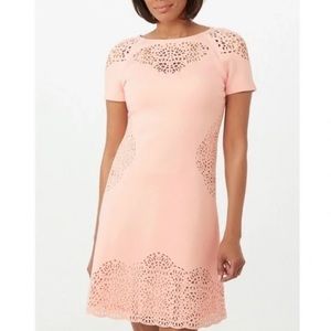 Tahari Knit Laser Cut Fit and Flare Dress Size 12